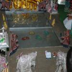 Vraj-Yatra-2014- (2070)